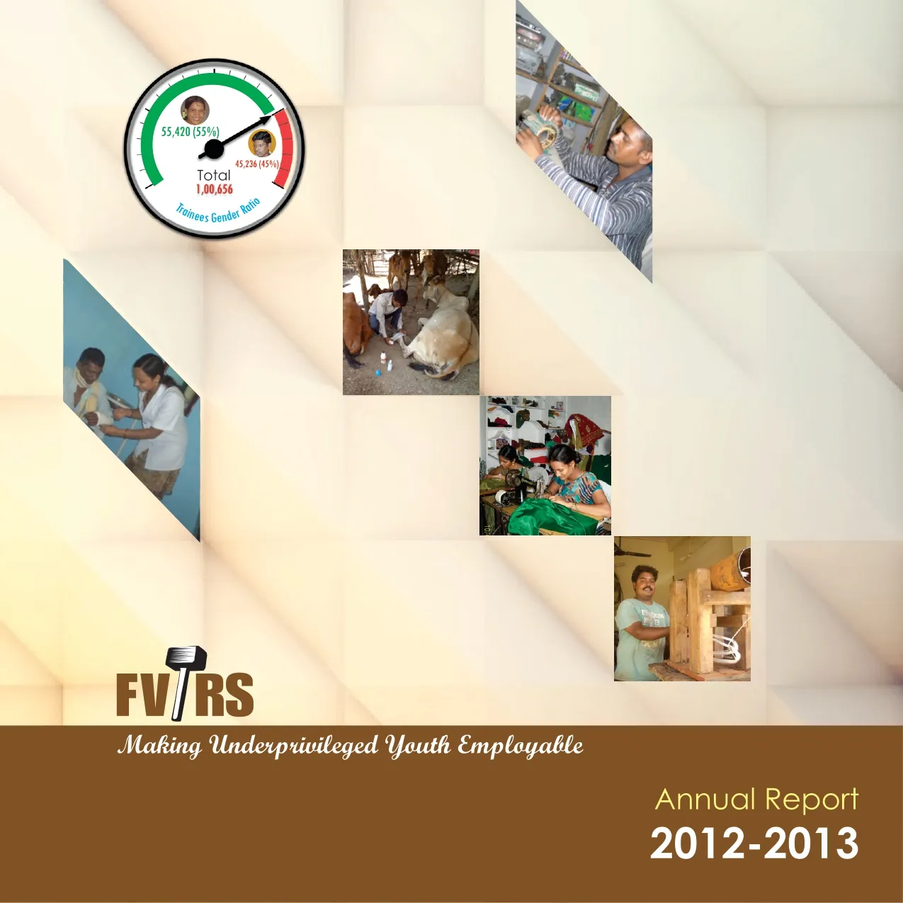 Annual Report 2013