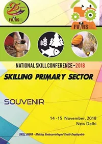 NSC - Souvenir 2018
